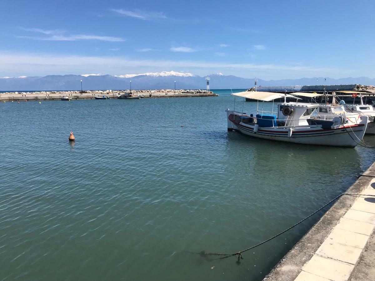 Difan Sea Homes A5 Agios Andreas  外观 照片